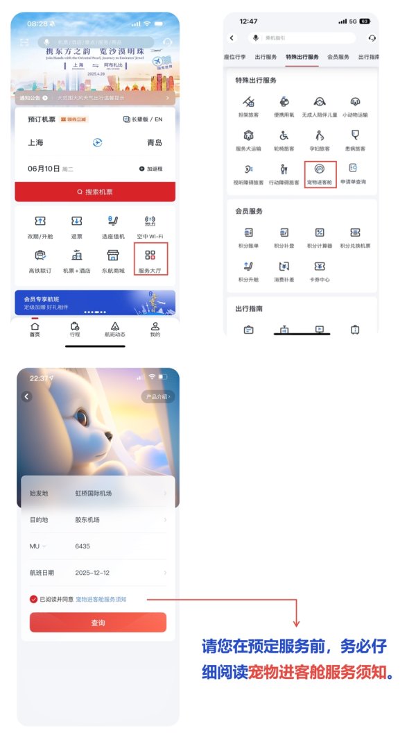 正规实盘股票配资 7月1日起东航“宠物进客舱”服务拓展至17条航线，其中上海进出港航线9条